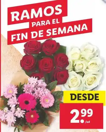 Lidl Ramos Para El Fin De Semana oferta