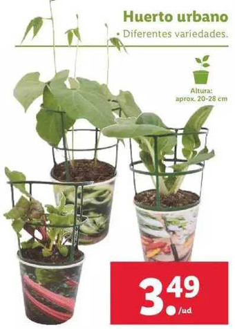 Lidl Huerto Urbano oferta