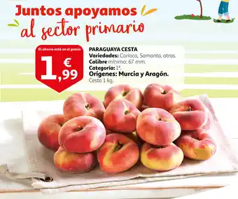Alcampo Paraguaya Cesta oferta