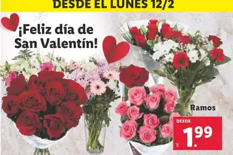 Lidl Ramos oferta