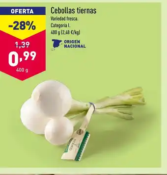 ALDI Cebollas tiernas oferta