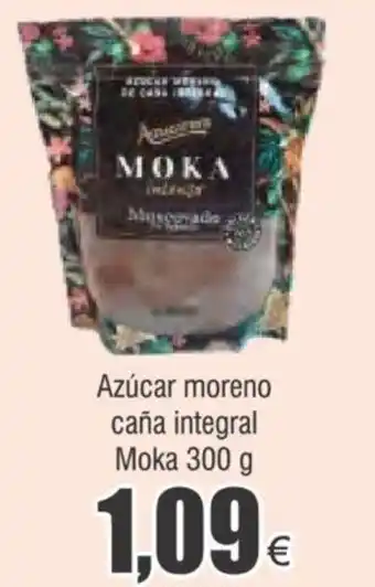 FROIZ Azúcar moreno caña integral Moka 300 g oferta