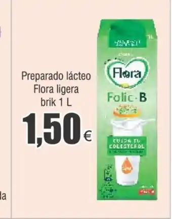 FROIZ Preparado lácteo Flora ligera brik 1 L oferta