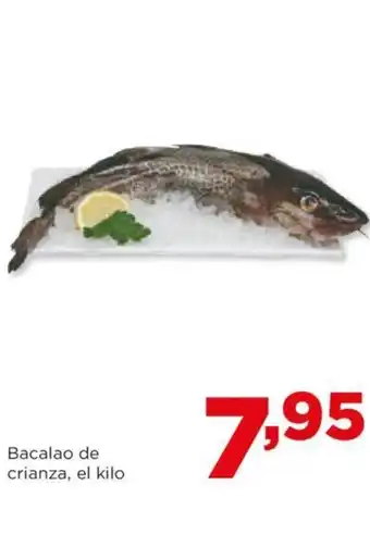 Alimerka Bacalao de crianza, el kilo oferta