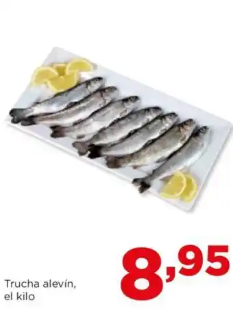 Alimerka Trucha alevín, el kilo oferta