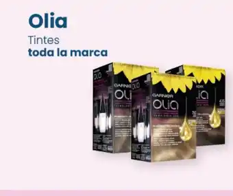 Clarel Olia Tintes toda la marca oferta