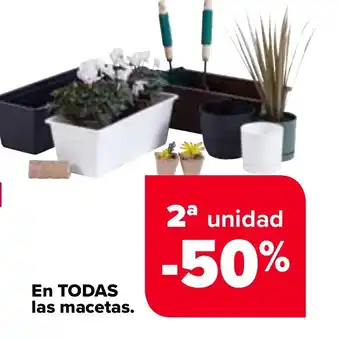 Carrefour En TODAS las macetas. oferta