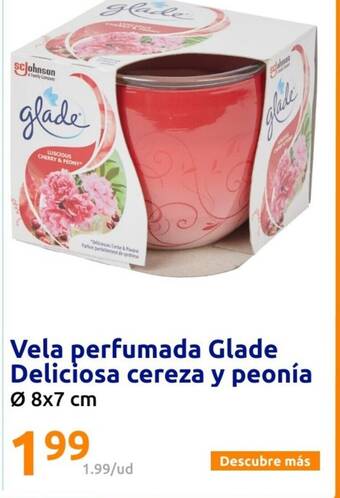 Cojín huesos de cereza lidl hot sale