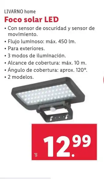 Lidl LIVARNO home Foco solar LED oferta