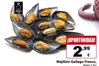 Masymas Mejillón Gallego Fresco, Malla 1 Kg oferta