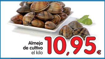 Alimerka Almeja de cultivo oferta
