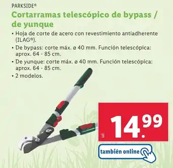 Lidl Cortarramas telescópico de bypass / oferta