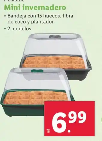 Lidl Mini invernadero oferta