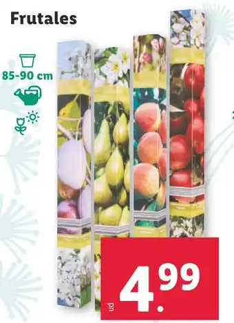 Lidl Frutales oferta