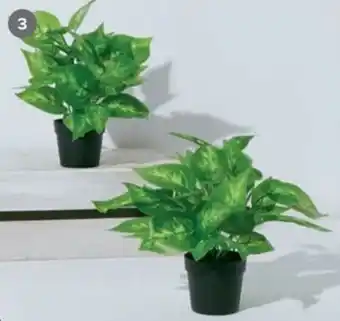 Carrefour Dieffenbachia artificial 21 cm o maceta bambú 26 cm oferta