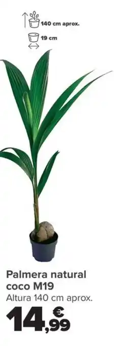 Carrefour Palmera natural coco M19 oferta