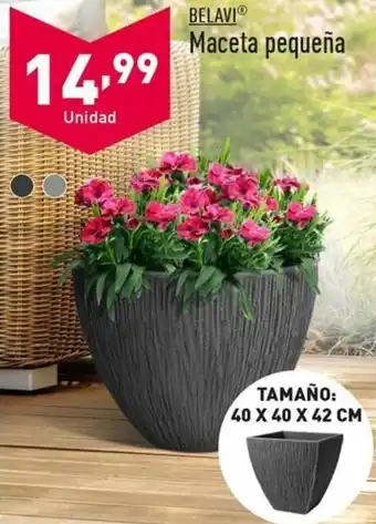 ALDI BELAVIⓇ Maceta pequeña oferta