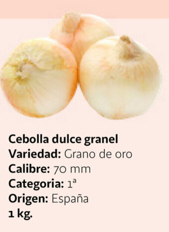 Alcampo Cebolla dulce granel oferta