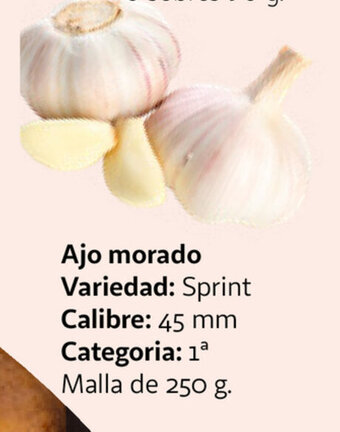 Alcampo Ajo Morado oferta