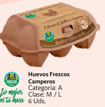 Alcampo Huevos Frescos Camperos oferta