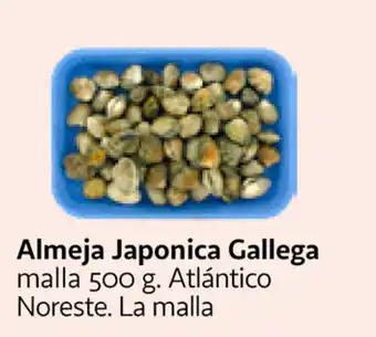 Alcampo Almeja Jamponica Gallega 500g oferta