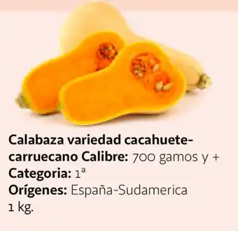 Alcampo Calabaza variedad cacahuete oferta