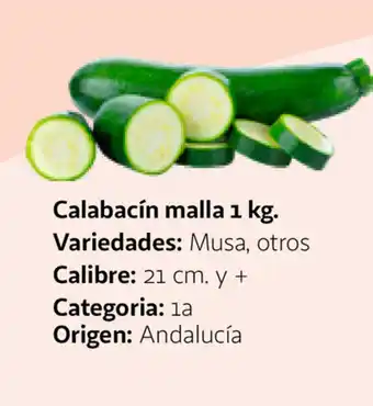 Alcampo Calabacin malla 1kg oferta