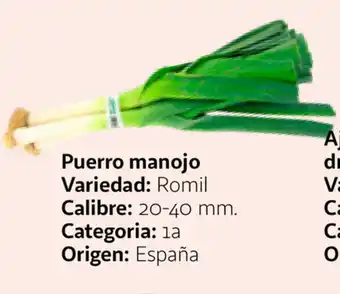 Alcampo Puerro manojo oferta