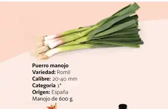 Alcampo Puerro manojo 600g oferta
