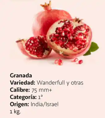 Alcampo Granada 1kg oferta