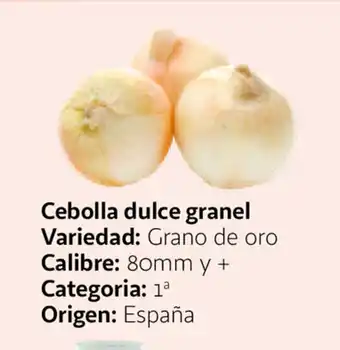 Alcampo Cebolla dulce granel oferta