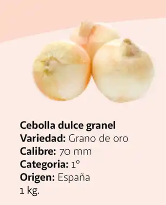 Alcampo Cebolla dulce granel 1kg oferta