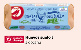 Alcampo Huevos suelo l 1 docena oferta