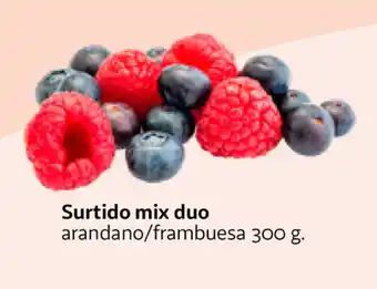 Alcampo Surtido mix duo 300g oferta