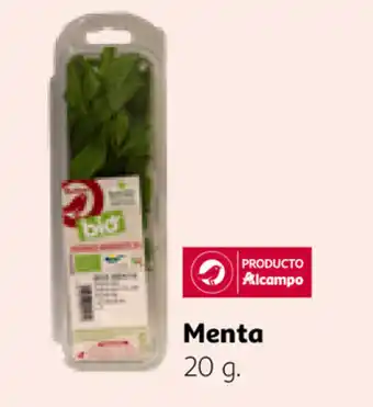 Alcampo Menta 20g oferta