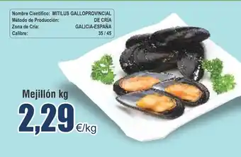 FROIZ Mejillón kg oferta