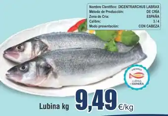 FROIZ Lubina kg oferta