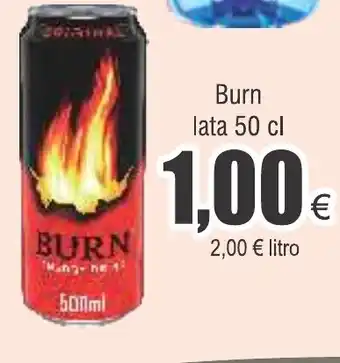FROIZ Burn lata 50 cl oferta