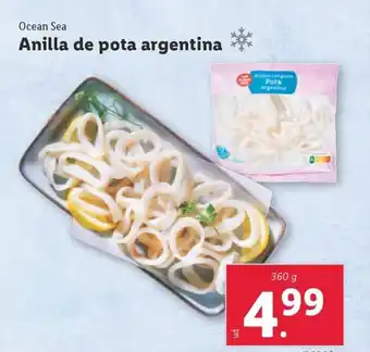 Lidl Anilla de pota argentina oferta