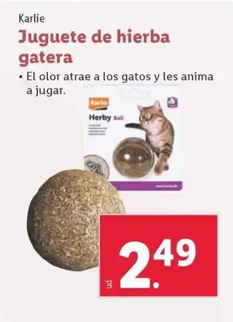 Lidl Juguete de hierba gatera oferta