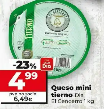 Dia Queso mini tierno dia oferta