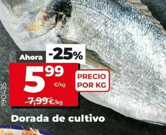Dia Dorada oferta