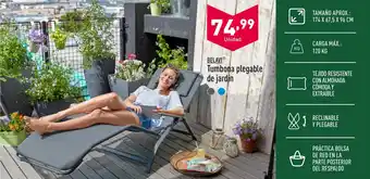 ALDI Tumbona plegable de jardín oferta