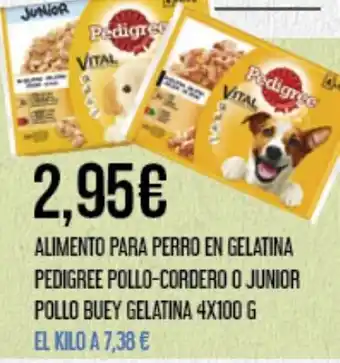 Claudio ALIMENTO PARA PERRO EN GELATINA PEDIGREE POLLO-CORDERO O JUNIOR POLLO BUEY GELATINA 4X100 G oferta