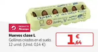 Alcampo Huevos clase L 12 unid. oferta