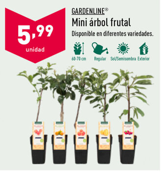 ALDI Gardenline Mini árbol frutal oferta