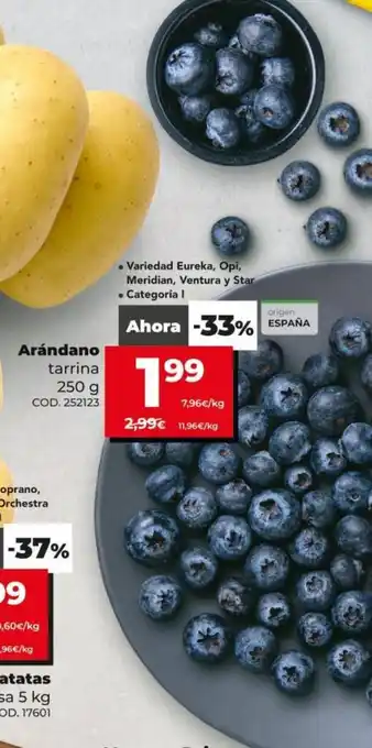 Dia Arándano tarrina 250g oferta