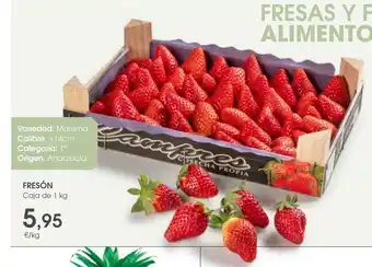 Supermercados Plaza FRESÓN oferta