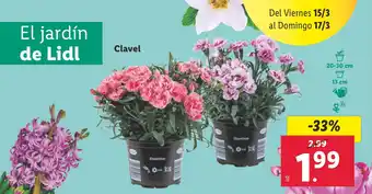 Lidl Clavel oferta