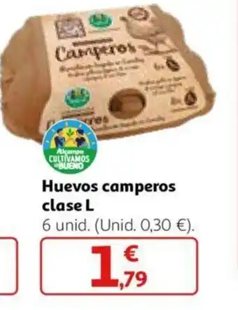 Alcampo Huevos camperos clase L oferta